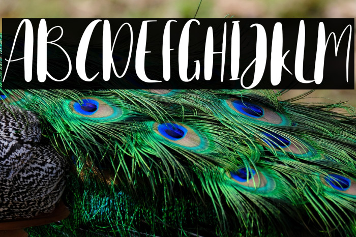 Home Spring Example 2