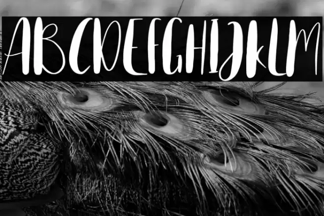 Home Spring Font examples