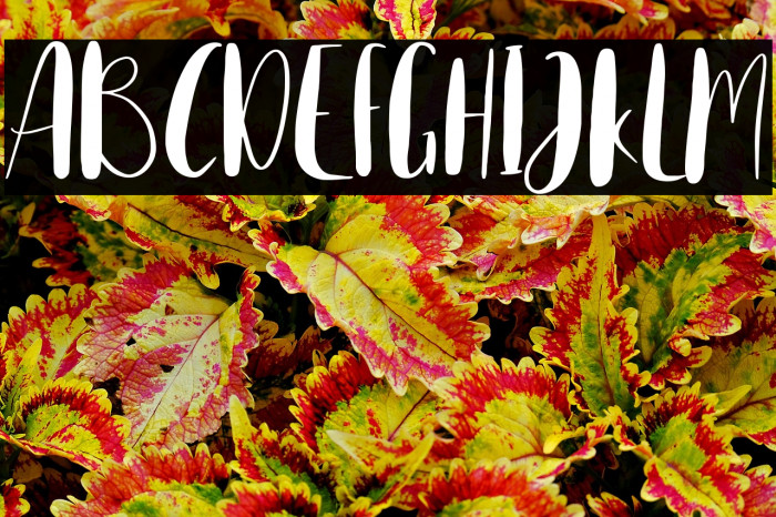 Home Spring Example 3