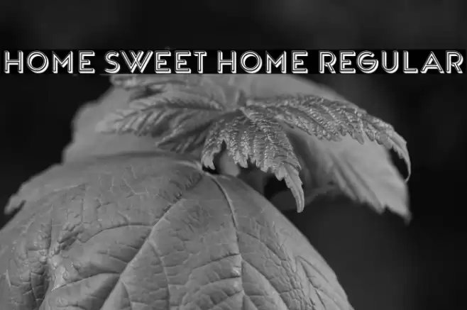 Home Sweet Home Regular Font examples