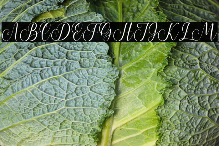 Home Sweet Home Example 2