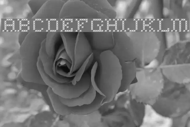 Home Sweet Home Schriftart examples