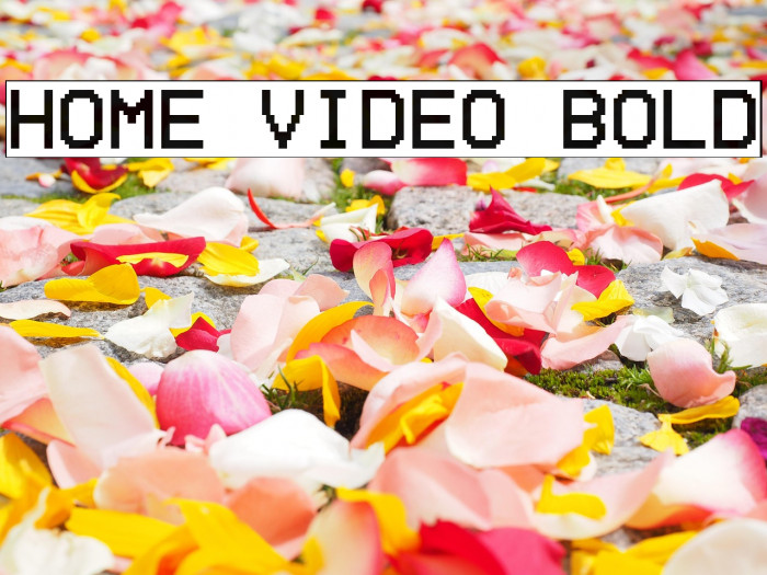 Home Video Bold Example 1