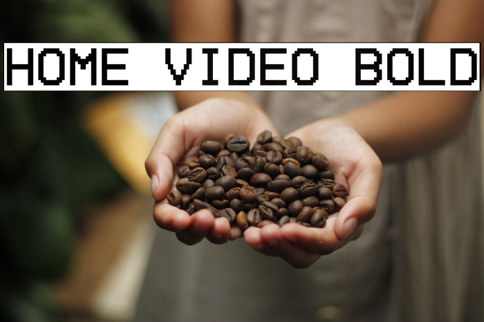 Home Video Bold Example 2