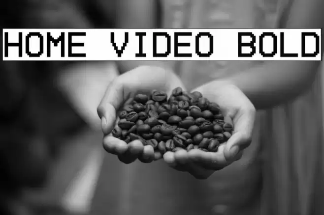 Home Video Bold Font examples