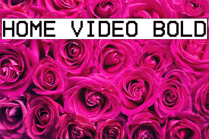 Home Video Bold Example 3