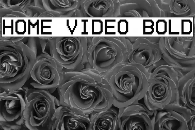 Home Video Bold Font examples