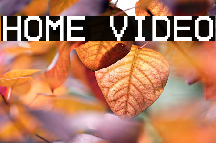 Home Video Example 2