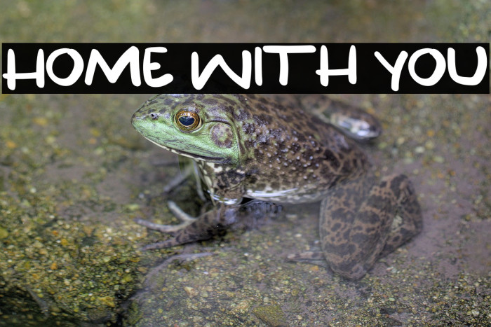 Home With You Example 3