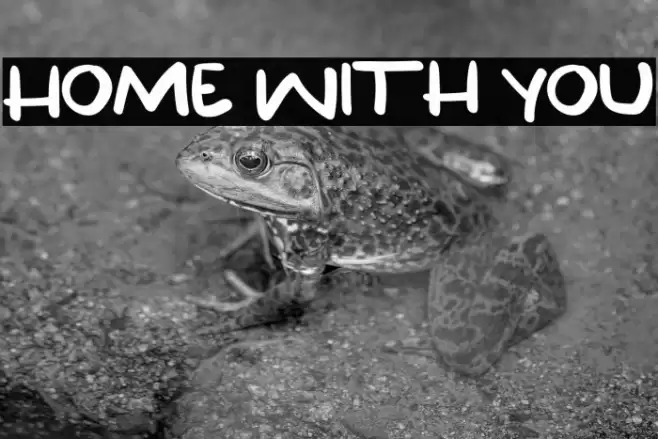 Home With You Font examples