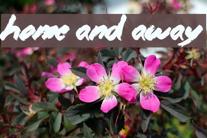 Home and Away Example 1