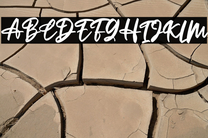 Home to Rome Free Trial Example 1