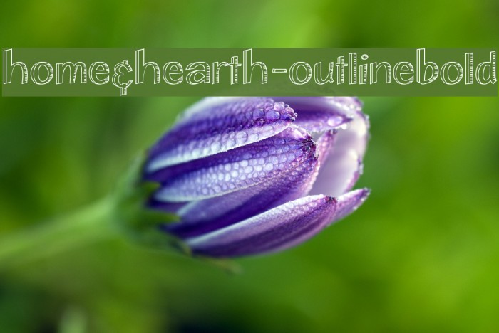 Home&Hearth-OutlineBold Font examples