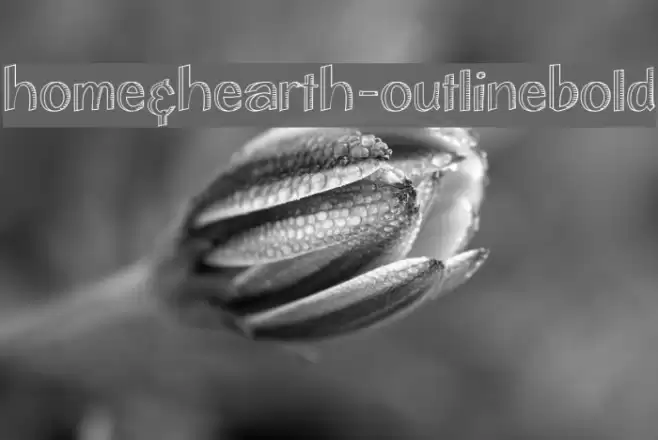 Home&Hearth-OutlineBold Polices examples