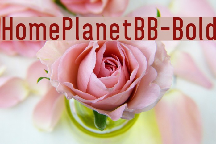 HomePlanetBB-Bold Font examples