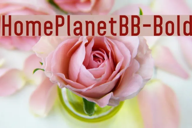 HomePlanetBB-Bold Example 2