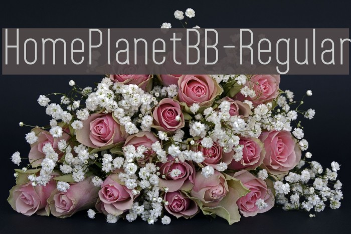 HomePlanetBB-Regular Font examples