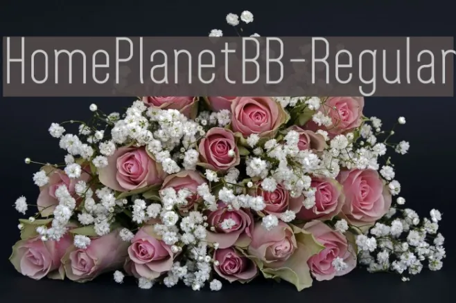 HomePlanetBB-Regular Example 1