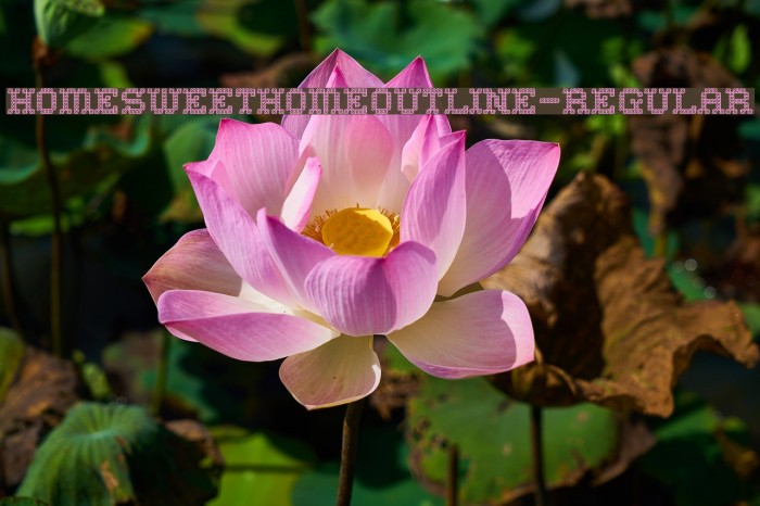 HomeSweetHomeOutline-Regular Example 3