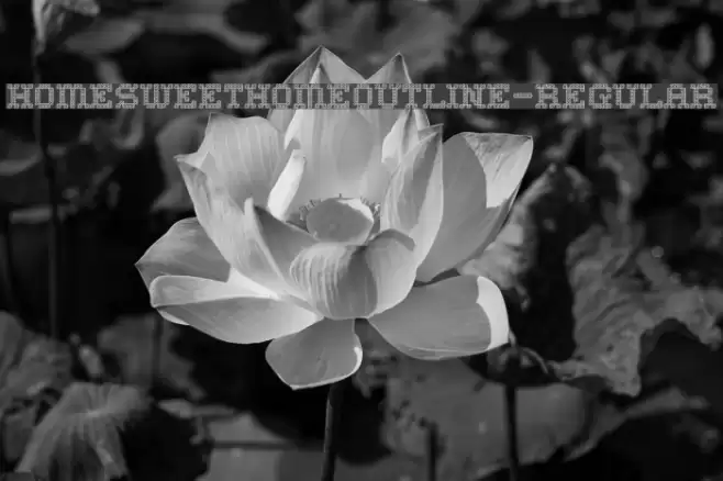 HomeSweetHomeOutline-Regular Font examples