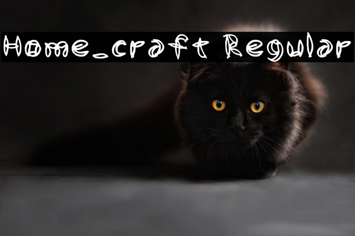 Home_craft Regular Example 1