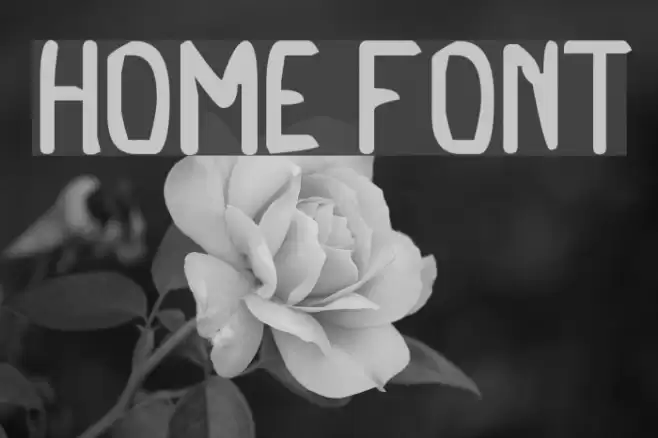 Home Font examples