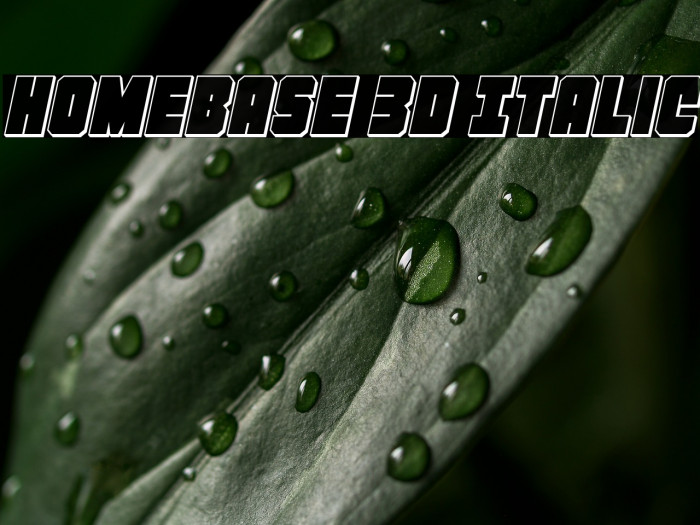 Homebase 3D Italic Example 2