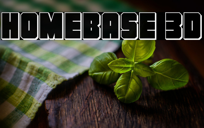 Homebase 3D Example 3