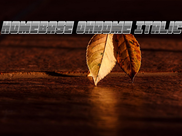 Homebase Chrome Italic Example 2