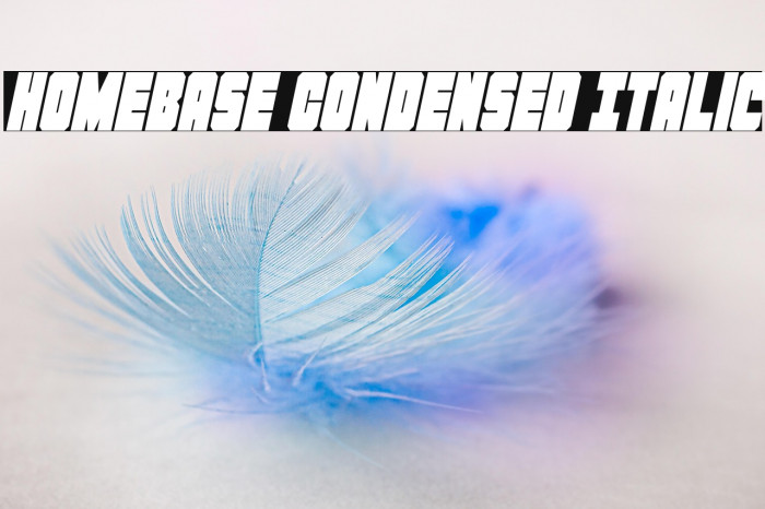 Homebase Condensed Italic Example 2