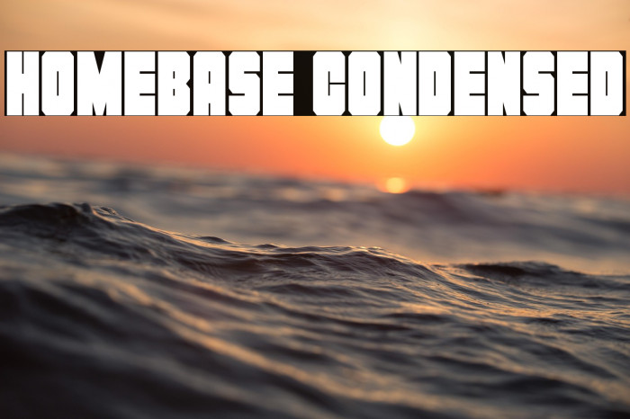 Homebase Condensed Example 1