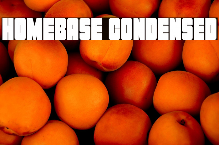 Homebase Condensed Example 3