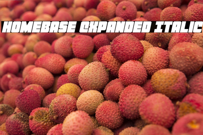 Homebase Expanded Italic Example 2