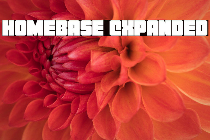 Homebase Expanded Example 1