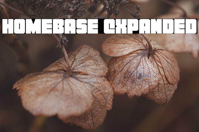 Homebase Expanded Example 3