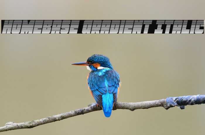 Homebase Gradient Italic Example 1