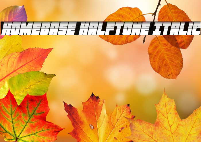 Homebase Halftone Italic Example 1