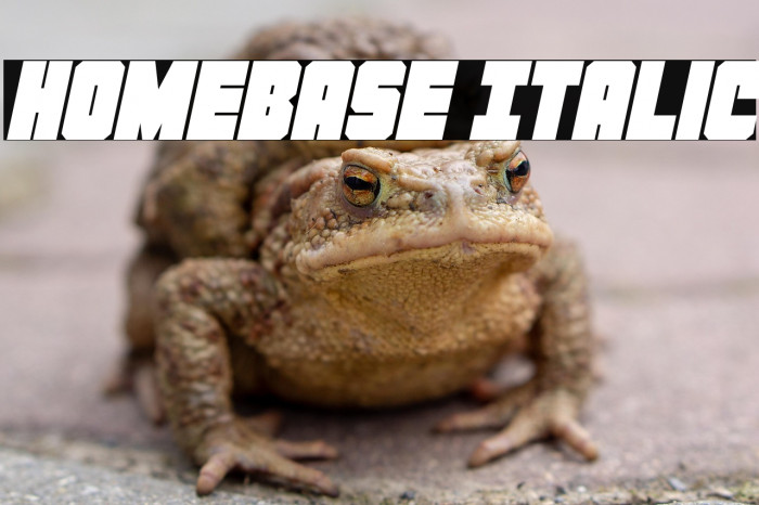 Homebase Italic Example 1