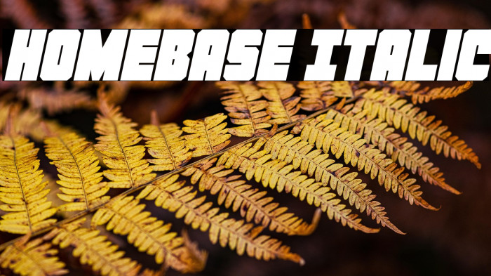 Homebase Italic Example 2