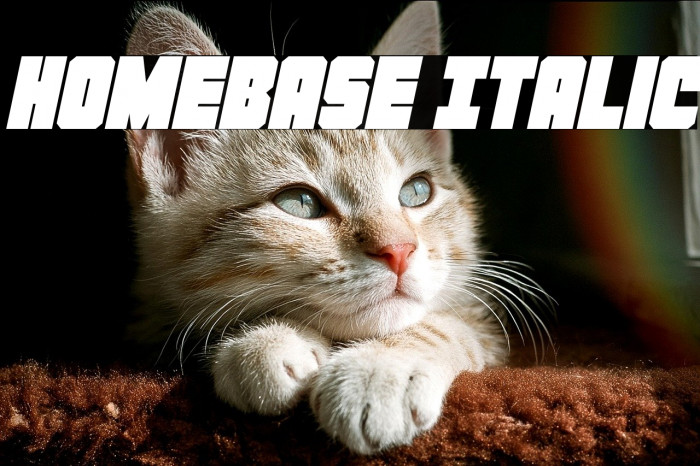 Homebase Italic Example 3