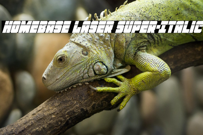 Homebase Laser Super-Italic Example 1