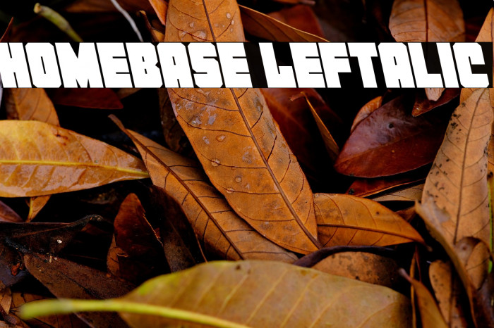 Homebase Leftalic Example 1