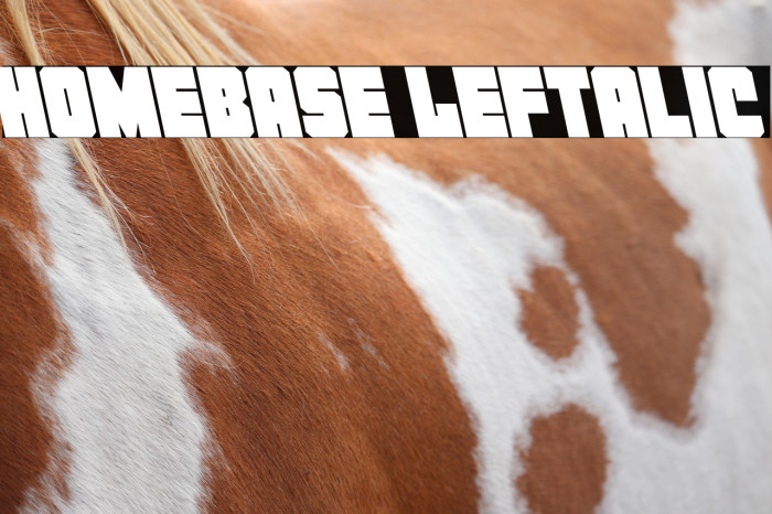 Homebase Leftalic Example 3