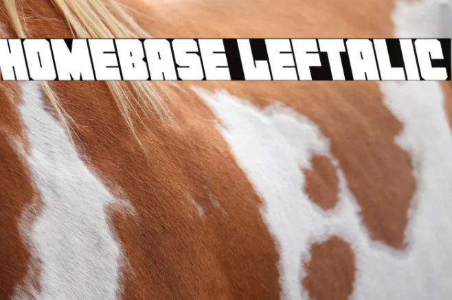 Homebase Leftalic Example 3