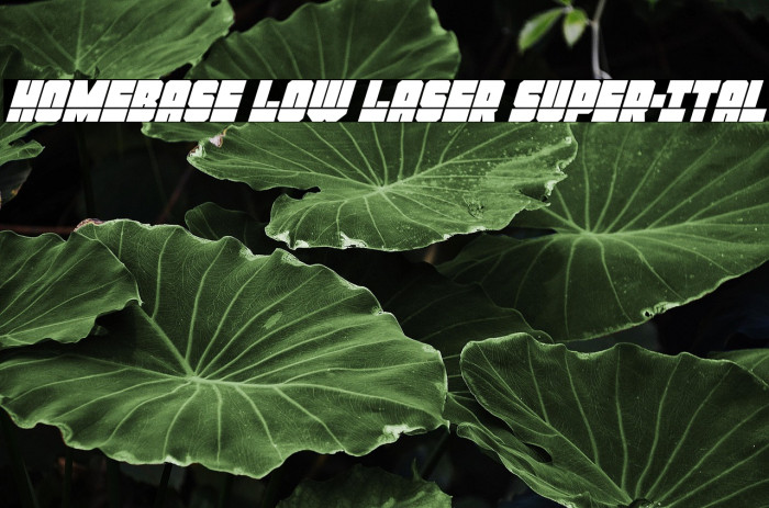 Homebase Low Laser Super-Ital Example 1