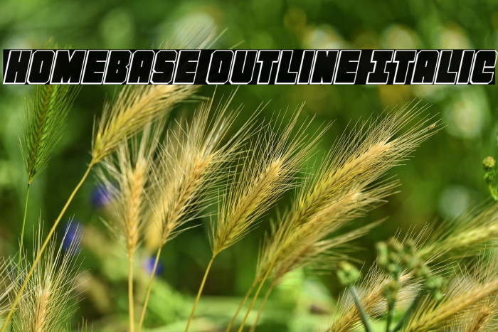Homebase Outline Italic Example 1