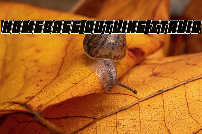 Homebase Outline Italic Example 2