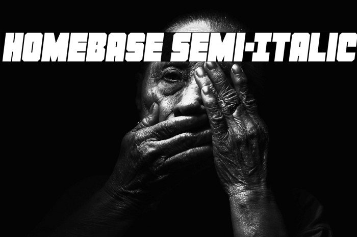 Homebase Semi-Italic Example 1