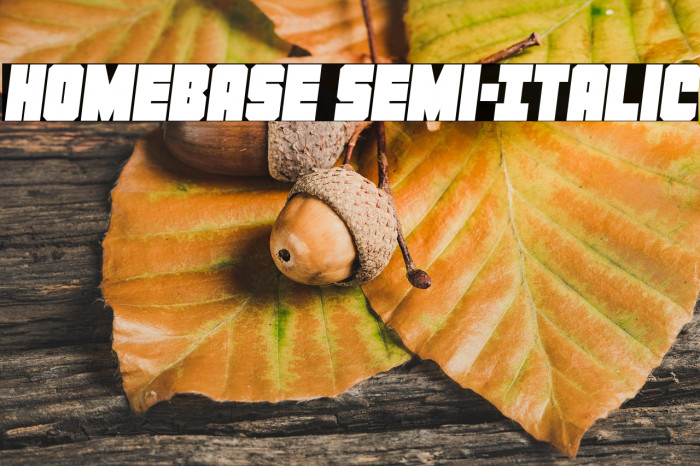 Homebase Semi-Italic Example 2
