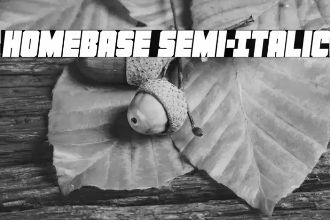 Homebase Semi-Italic Font examples